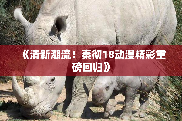 《清新潮流！秦彻18动漫精彩重磅回归》
