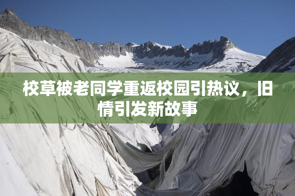 校草被老同学重返校园引热议，旧情引发新故事