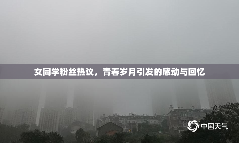 女同学粉丝热议，青春岁月引发的感动与回忆