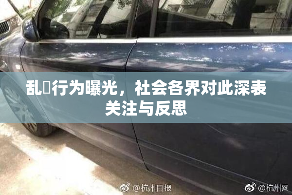 乱婬行为曝光，社会各界对此深表关注与反思
