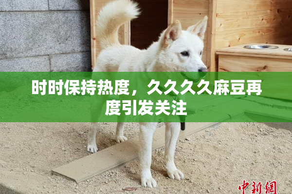 时时保持热度，久久久久麻豆再度引发关注