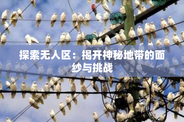 探索无人区：揭开神秘地带的面纱与挑战