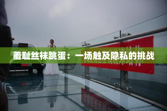 羞耻丝袜跳蛋：一场触及隐私的挑战