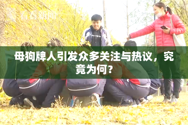 母狗牌人引发众多关注与热议，究竟为何？