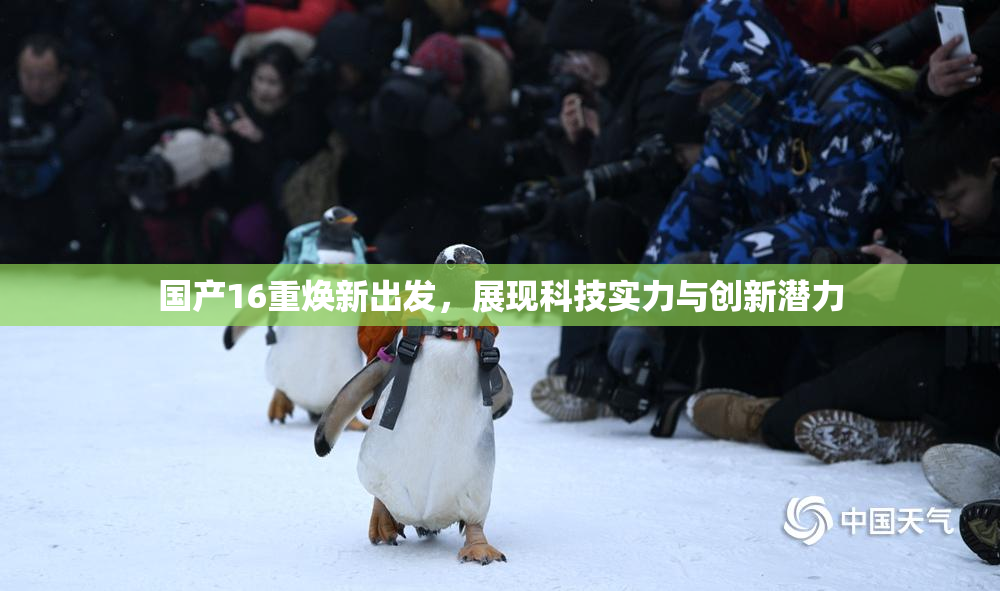 国产16重焕新出发，展现科技实力与创新潜力