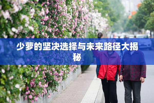 少萝的坚决选择与未来路径大揭秘