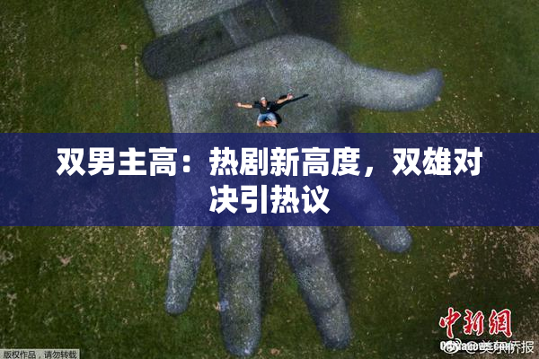 双男主高：热剧新高度，双雄对决引热议