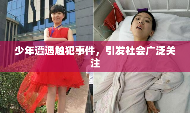 少年遭遇触犯事件，引发社会广泛关注