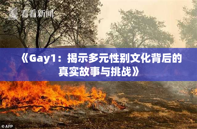《Gay1：揭示多元性别文化背后的真实故事与挑战》
