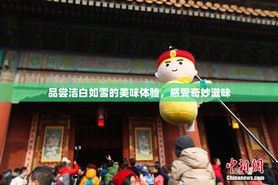 品尝洁白如雪的美味体验，感受奇妙滋味