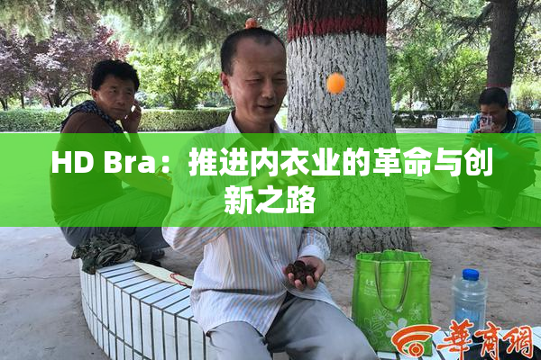 HD Bra：推进内衣业的革命与创新之路