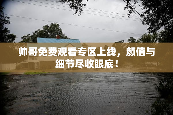 帅哥免费观看专区上线，颜值与细节尽收眼底！