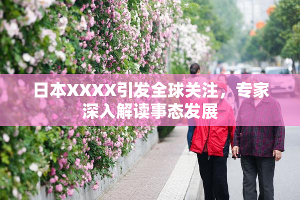 日本XXXX引发全球关注，专家深入解读事态发展