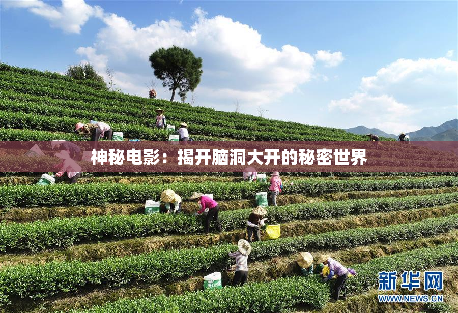 神秘电影：揭开脑洞大开的秘密世界