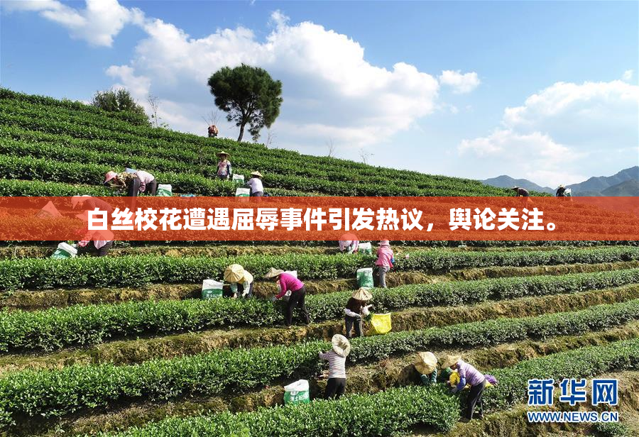 白丝校花遭遇屈辱事件引发热议，舆论关注。
