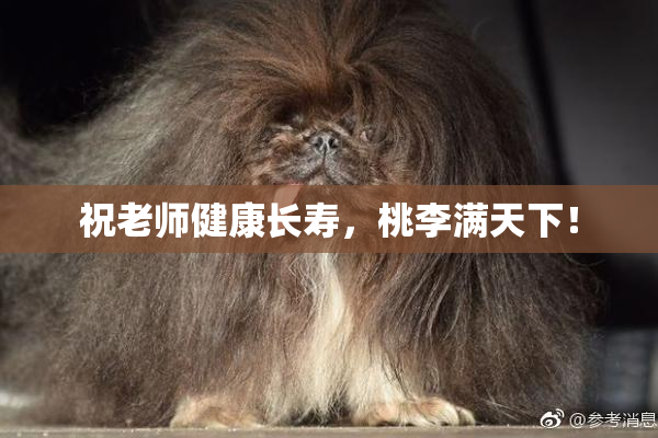 祝老师健康长寿，桃李满天下！