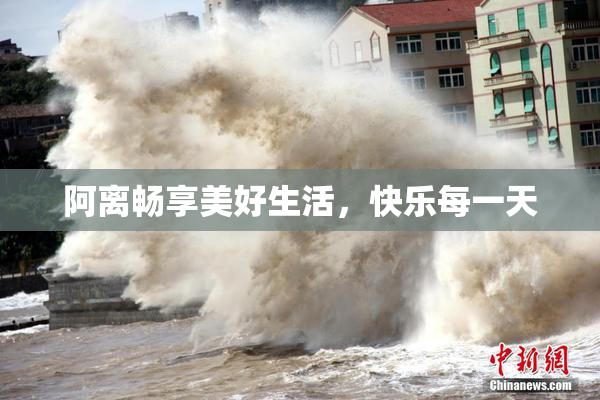 阿离畅享美好生活，快乐每一天