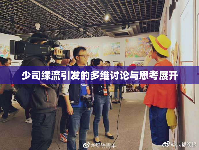 少司缘流引发的多维讨论与思考展开