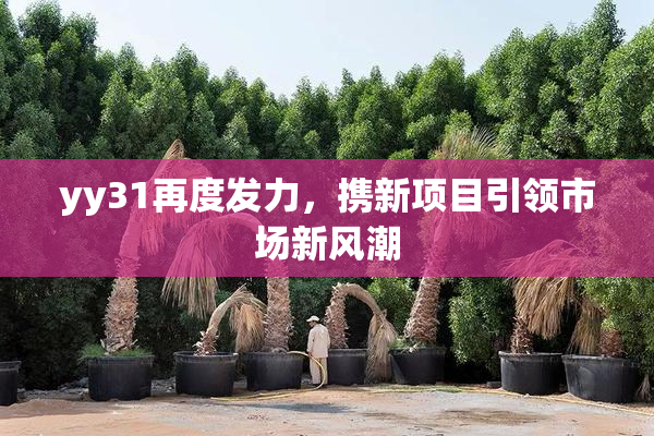 yy31再度发力，携新项目引领市场新风潮