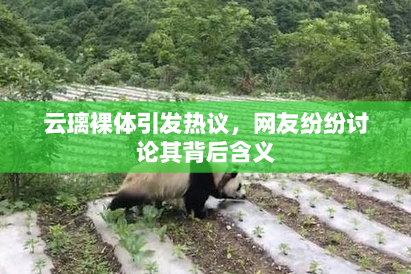 云璃裸体引发热议，网友纷纷讨论其背后含义