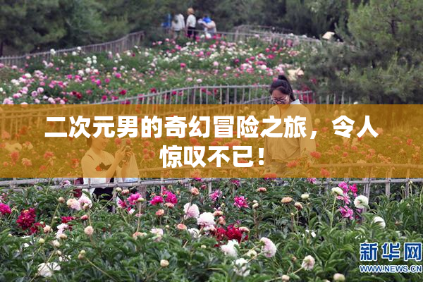 二次元男的奇幻冒险之旅，令人惊叹不已！