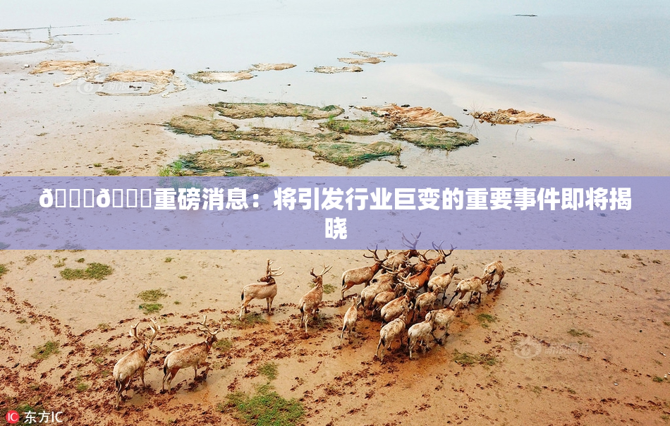 🔞🔞重磅消息：将引发行业巨变的重要事件即将揭晓