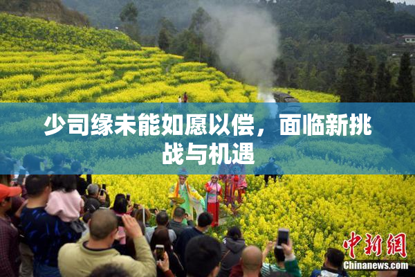 少司缘未能如愿以偿，面临新挑战与机遇