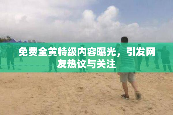 免费全黄特级内容曝光，引发网友热议与关注