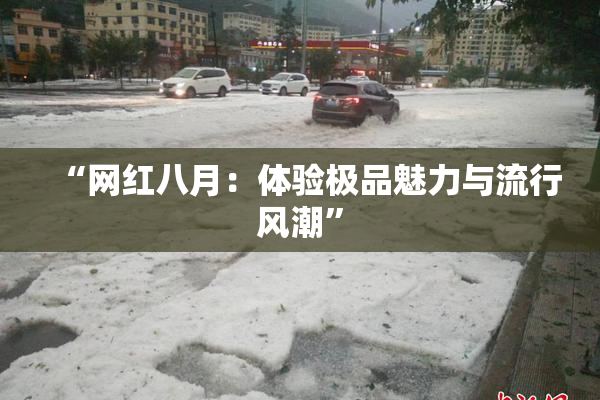 “网红八月：体验极品魅力与流行风潮”