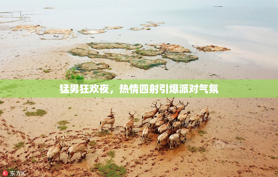 猛男狂欢夜，热情四射引爆派对气氛