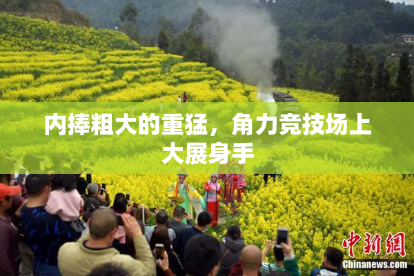 内捧粗大的重猛，角力竞技场上大展身手
