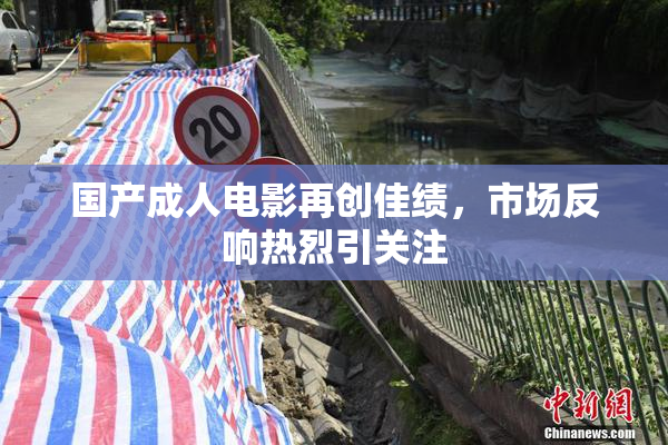 国产成人电影再创佳绩，市场反响热烈引关注