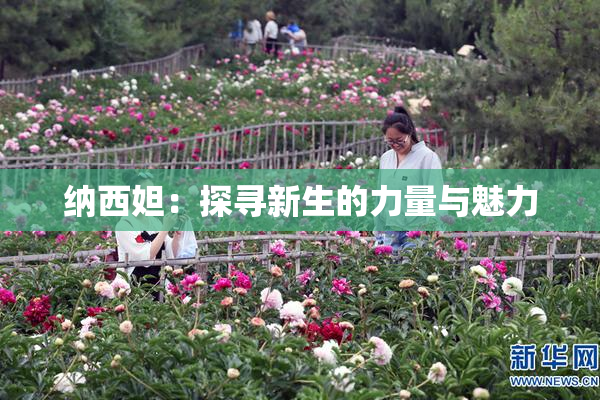 纳西妲：探寻新生的力量与魅力
