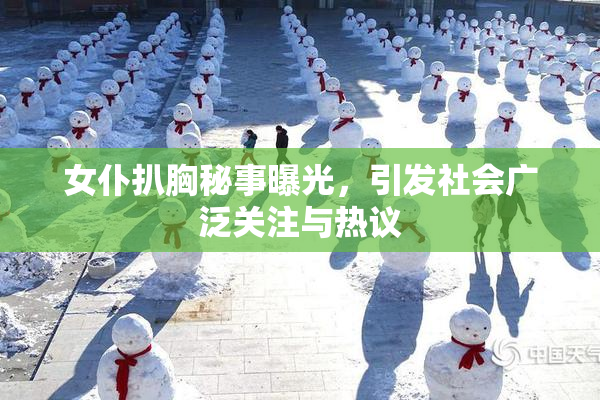 女仆扒胸秘事曝光，引发社会广泛关注与热议