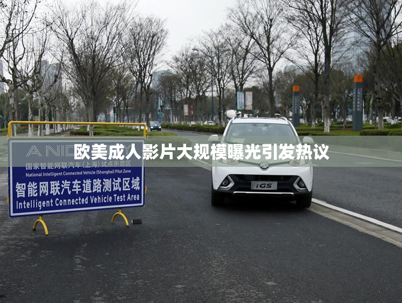 欧美成人影片大规模曝光引发热议