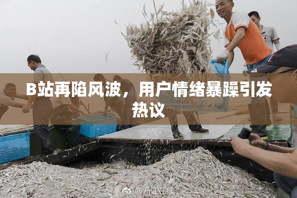 B站再陷风波，用户情绪暴躁引发热议