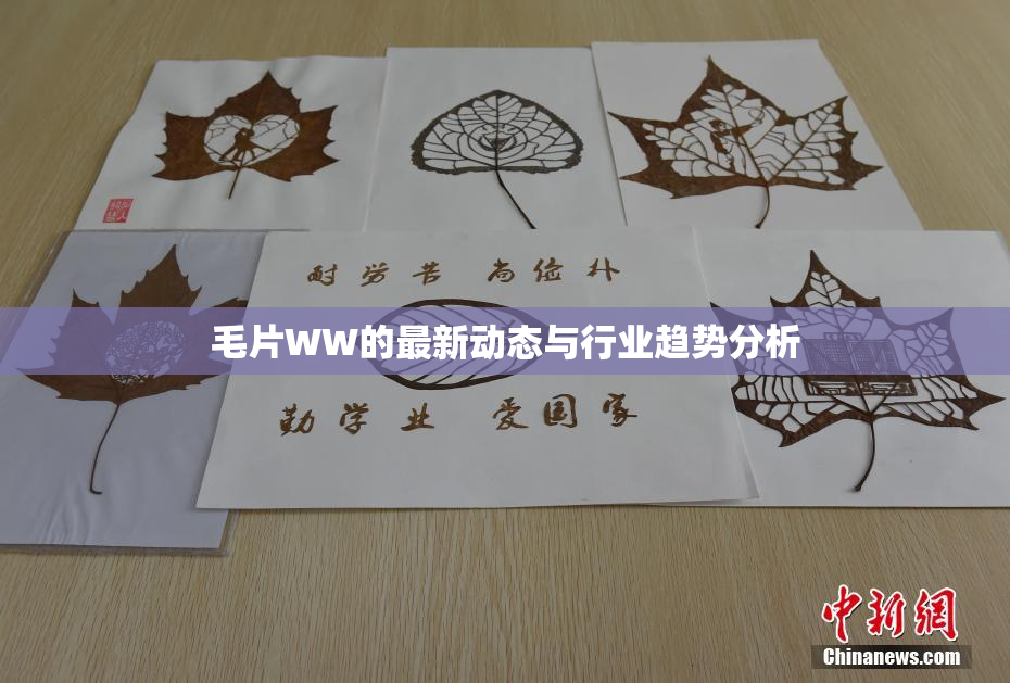 毛片WW的最新动态与行业趋势分析