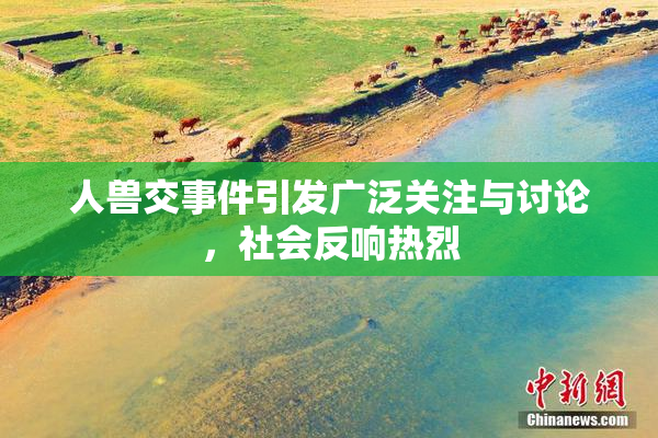 人兽交事件引发广泛关注与讨论，社会反响热烈