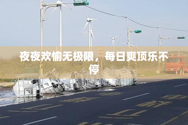 夜夜欢愉无极限，每日爽顶乐不停