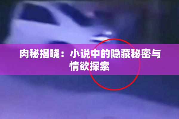 肉秘揭晓：小说中的隐藏秘密与情欲探索