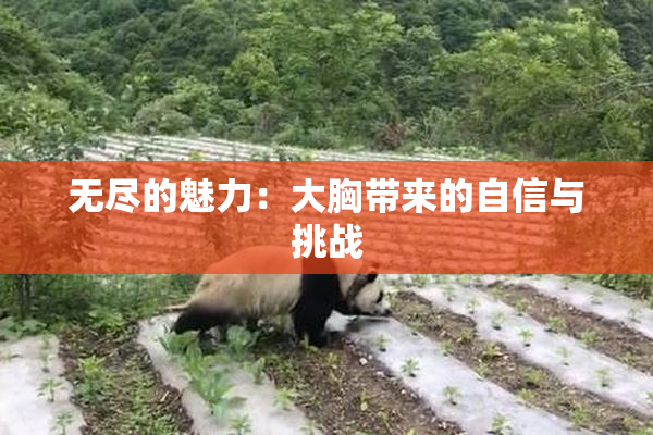 无尽的魅力：大胸带来的自信与挑战