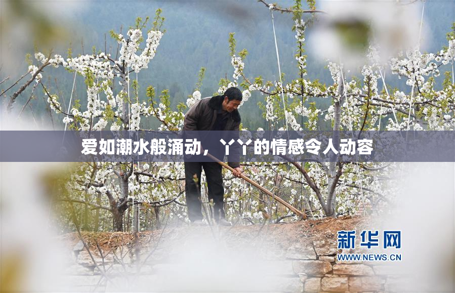 爱如潮水般涌动，丫丫的情感令人动容