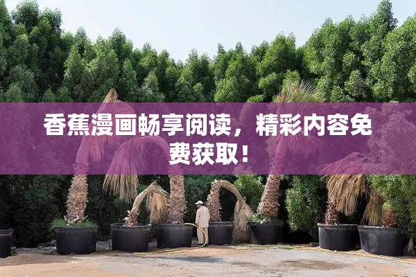 香蕉漫画畅享阅读，精彩内容免费获取！