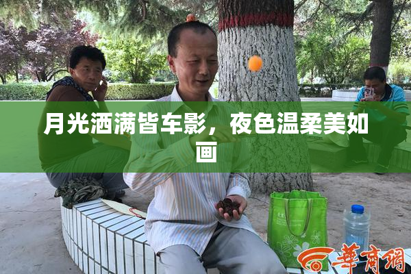 月光洒满皆车影，夜色温柔美如画