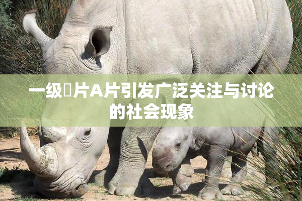 一级婬片A片引发广泛关注与讨论的社会现象