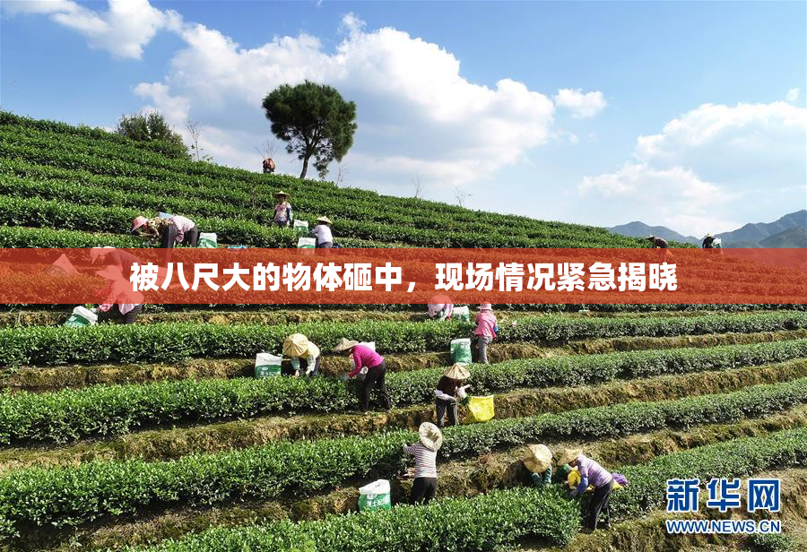 被八尺大的物体砸中，现场情况紧急揭晓