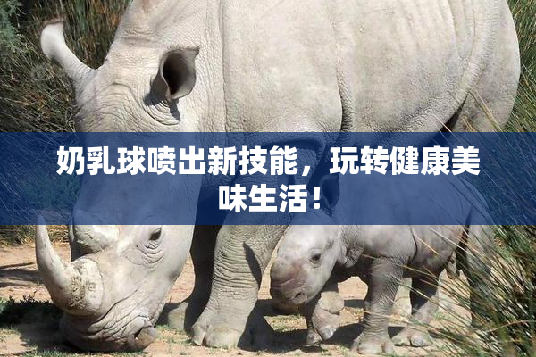 奶乳球喷出新技能，玩转健康美味生活！