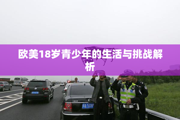 欧美18岁青少年的生活与挑战解析