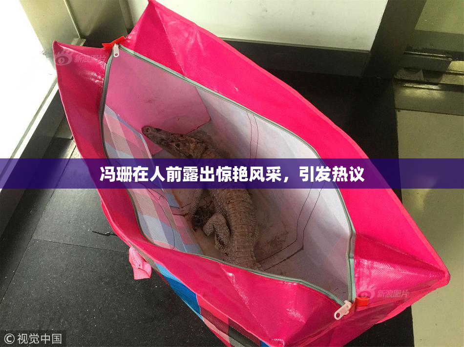 冯珊在人前露出惊艳风采，引发热议