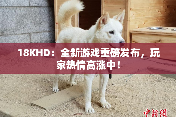 18KHD：全新游戏重磅发布，玩家热情高涨中！